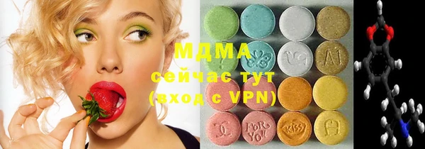 молекула духа Богданович