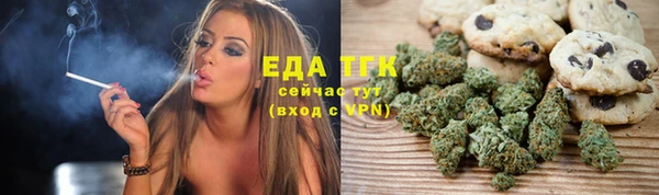 молекула духа Богданович