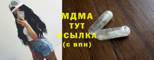 молекула духа Богданович