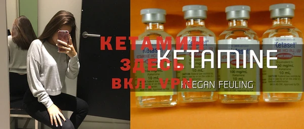крисы Бронницы