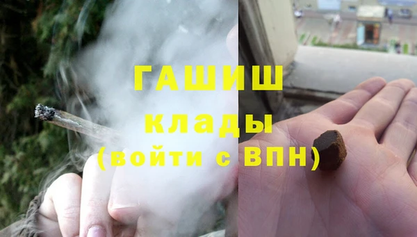 молекула духа Богданович