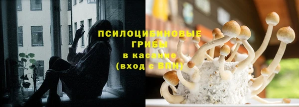 молекула духа Богданович
