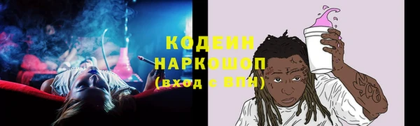 молекула духа Богданович