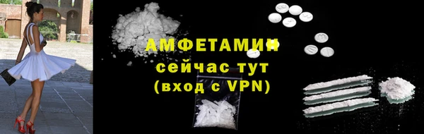 молекула духа Богданович