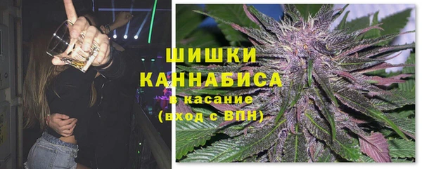 тгк Богородск