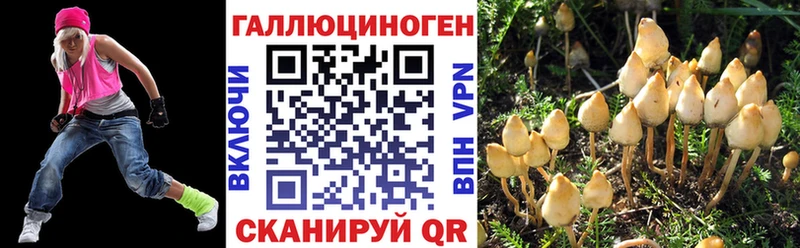 Галлюциногенные грибы Cubensis  где найти наркотики  Кольчугино 